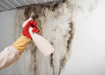 man-found-mold-wall-your-residential-building-after-renovation_132310-9273